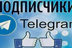 Исследование динамики подписчиков каналов Telegram: создание сообществ в эпоху цифровых технологий