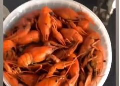 Вареные раки: вкусное угощение для вашего праздника