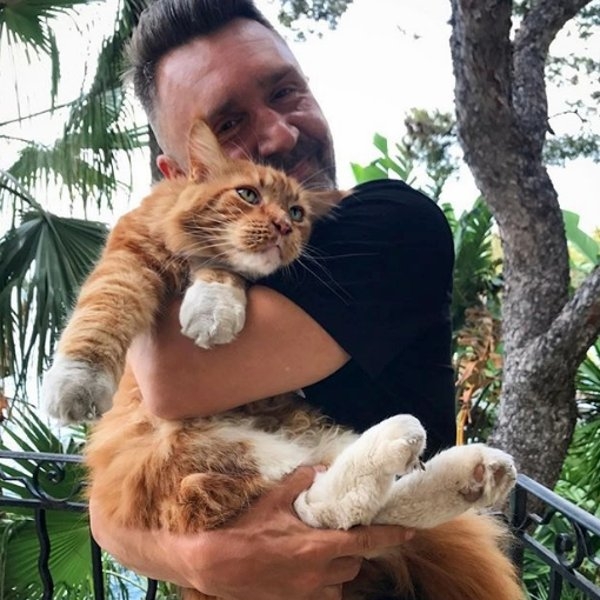 Шнуров выберет самого главного котика страны