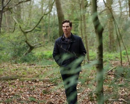 Бенедикт Камбербэтч будет пытаться найти цель в жизни